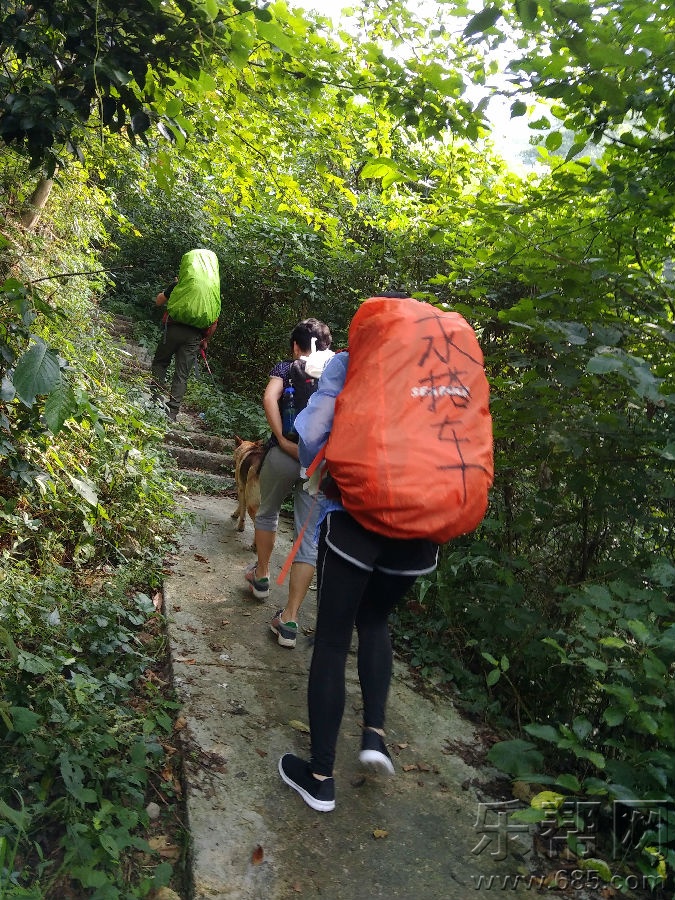三登齐云山 (8).jpg