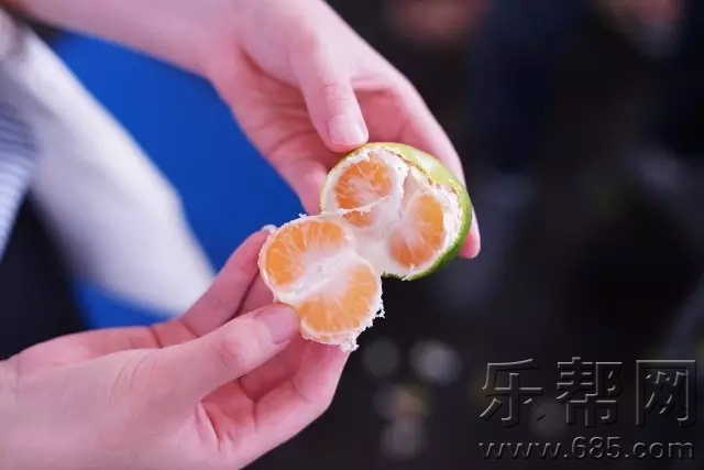 640.webp (13).jpg