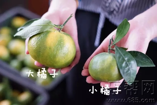 640.webp (12).jpg